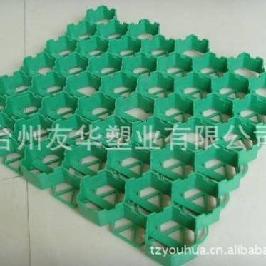厂家 优质高强度抗老化塑胶植草格 消防通道停车场**